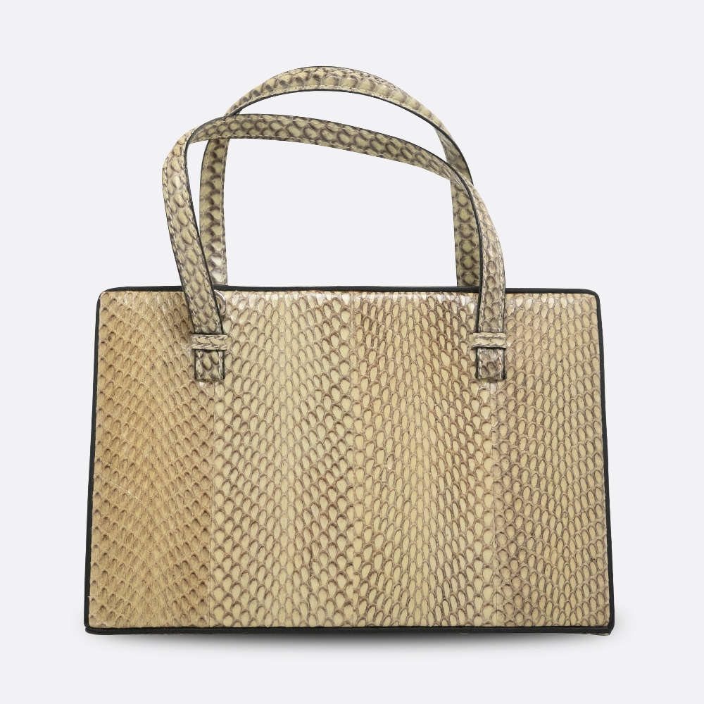 LOEWE-POSTALBAG-OMBRE-PYTHON-7405 front.jpg