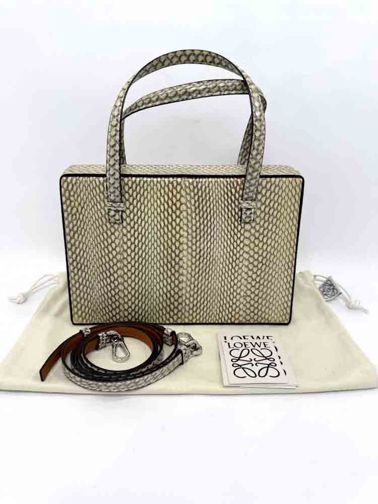 LOEWE-POSTALBAG-OMBRE-PYTHON-IMG_2761_jpg.jpg