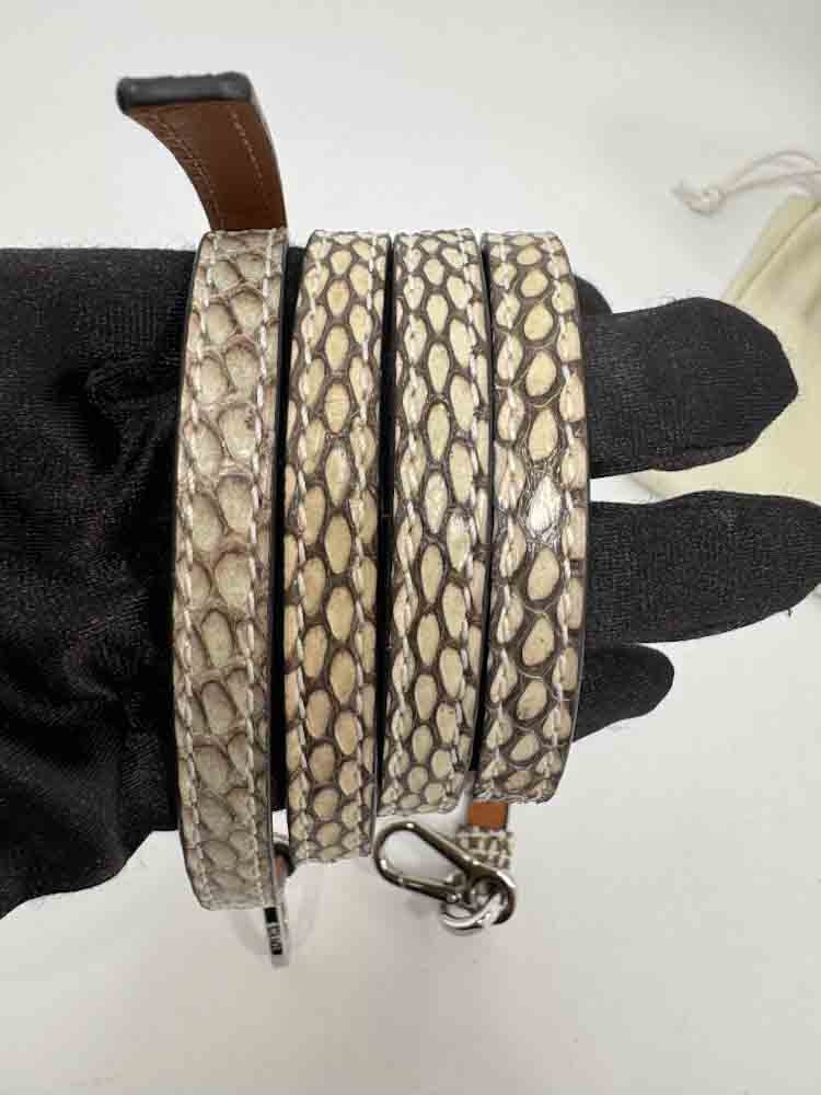LOEWE-POSTALBAG-OMBRE-PYTHON-IMG_2762.jpg