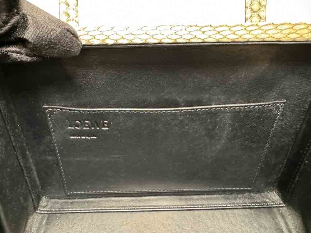 LOEWE-POSTALBAG-OMBRE-PYTHON-IMG_2787.jpg