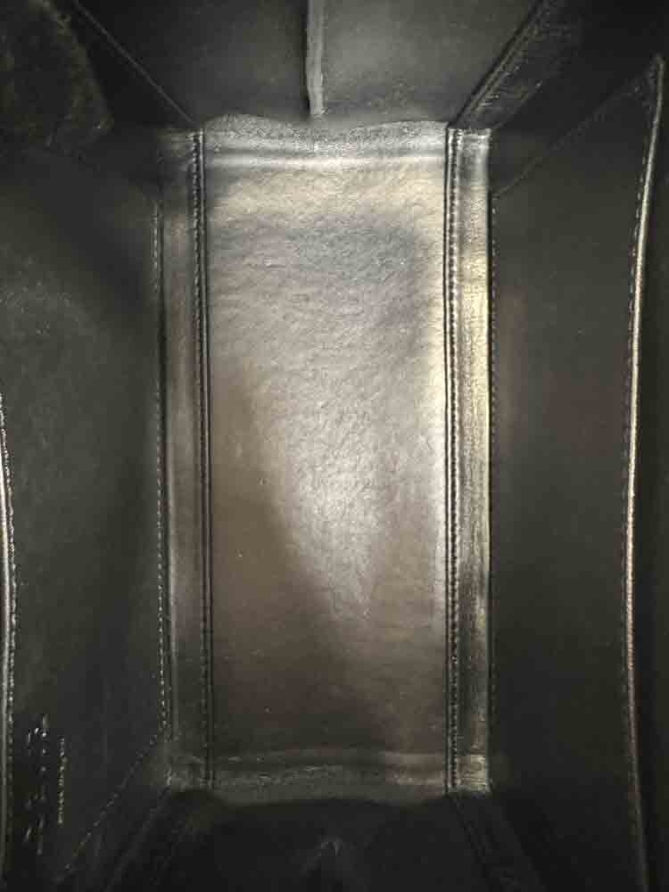LOEWE-POSTALBAG-OMBRE-PYTHON-IMG_2789.jpg
