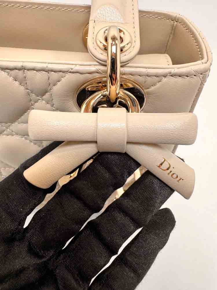 CHRISTIANDIOR-LADYDIOR-SMALL-TAUPE-LAMBSKIN-IMG_9408.jpg