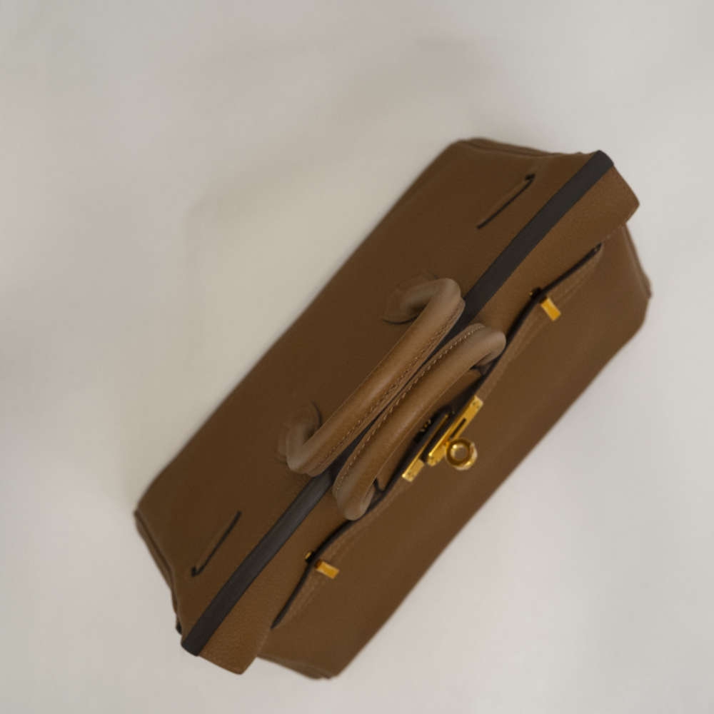 HERMES-BIRKIN-25-ALEZAN-TOGO-8375 topdown.jpg