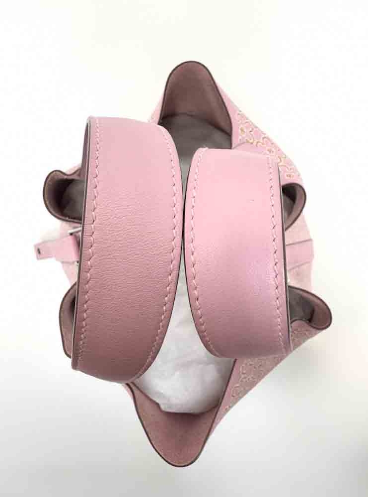 HERMES-PICOTIN-18-MAUVESYLVESTRE-SWIFT-IMG_4545.jpg