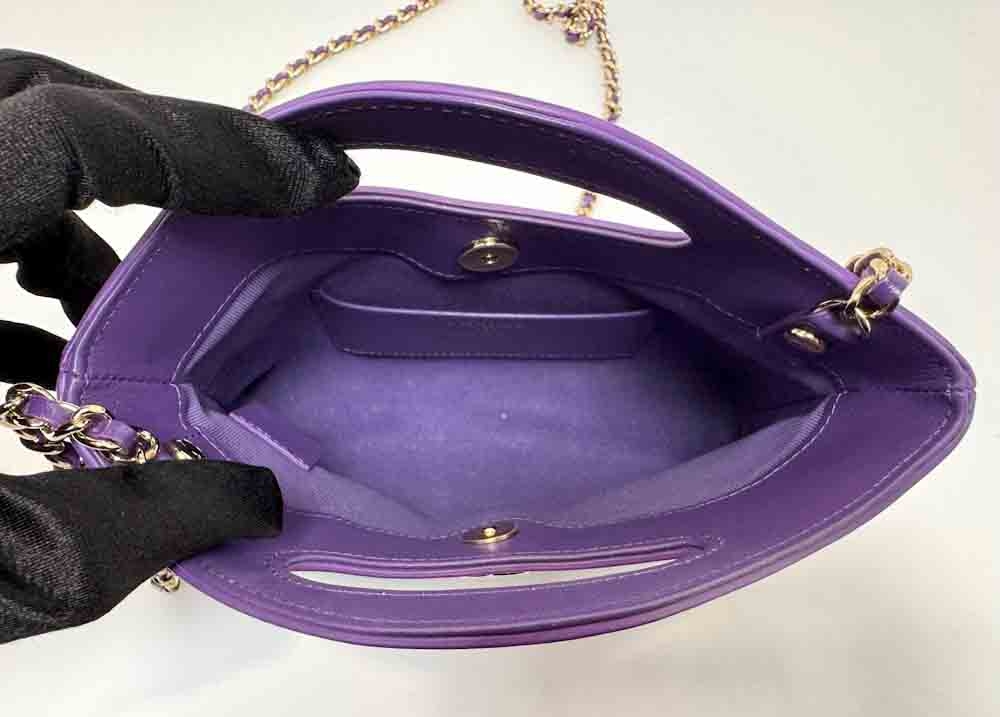 CHANEL-CHANEL31-NANO-PURPLE-CALF-IMG_7243.jpg