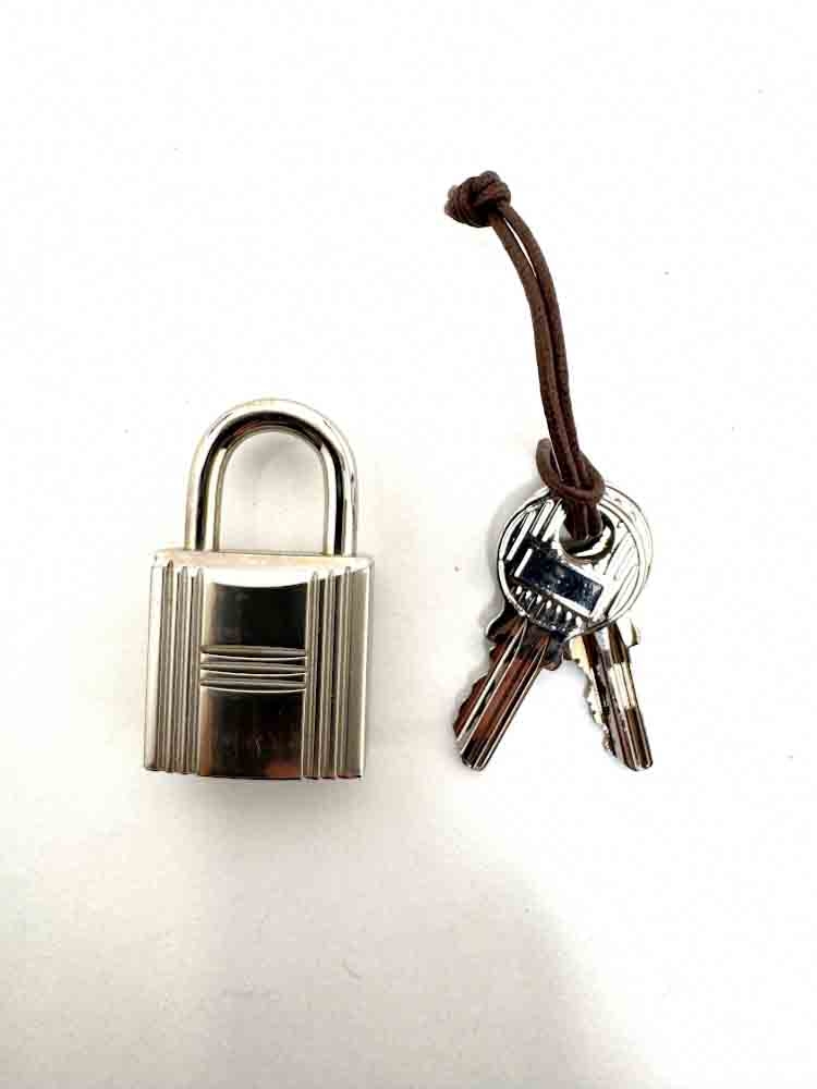 HERMES-PICOTINLOCKLUCKYDAISY-MICROMINI-CHAI-SWIFT-IMG_8853.jpg
