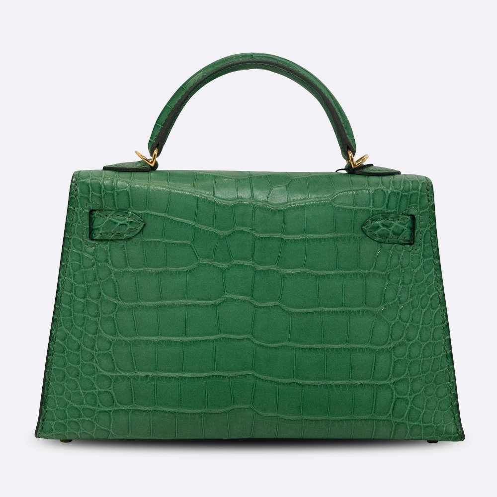 HERMES-MINIKELLY-20-CACTUS-MATTEALLIGATOR-8453 back.jpg
