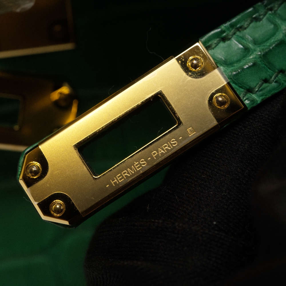 HERMES-MINIKELLY-20-CACTUS-MATTEALLIGATOR-8453 hw2.jpg