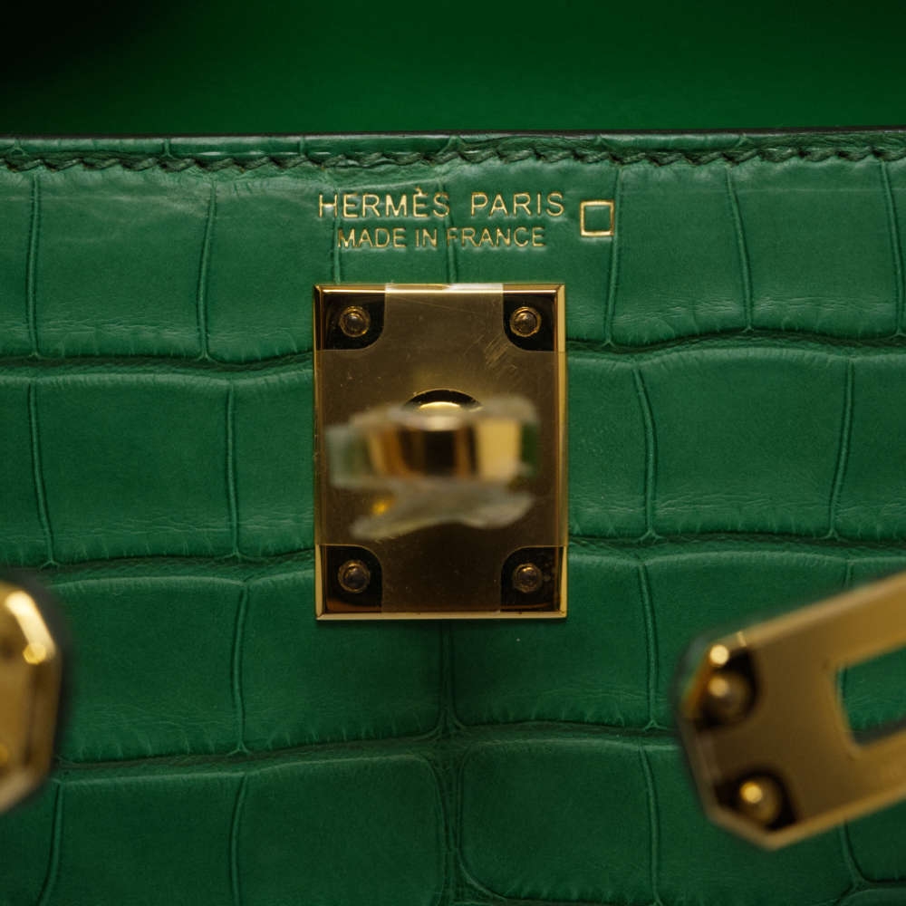 HERMES-MINIKELLY-20-CACTUS-MATTEALLIGATOR-8453 hw3.jpg