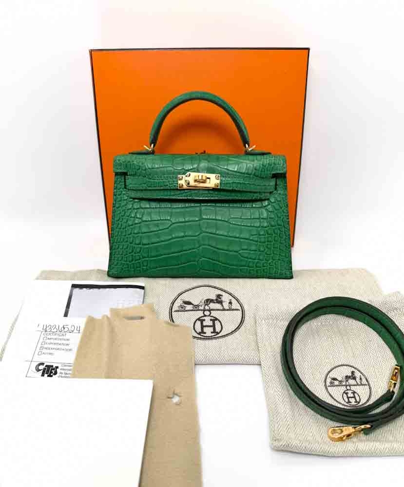 HERMES-MINIKELLY-20-CACTUS-MATTEALLIGATOR-IMG_0837.jpg