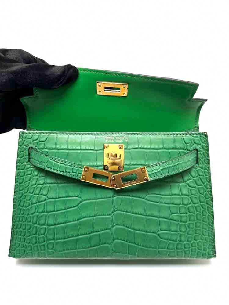 HERMES-MINIKELLY-20-CACTUS-MATTEALLIGATOR-IMG_0882.jpg