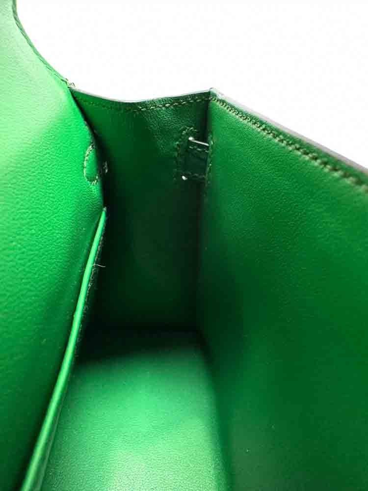 HERMES-MINIKELLY-20-CACTUS-MATTEALLIGATOR-IMG_0904.jpg