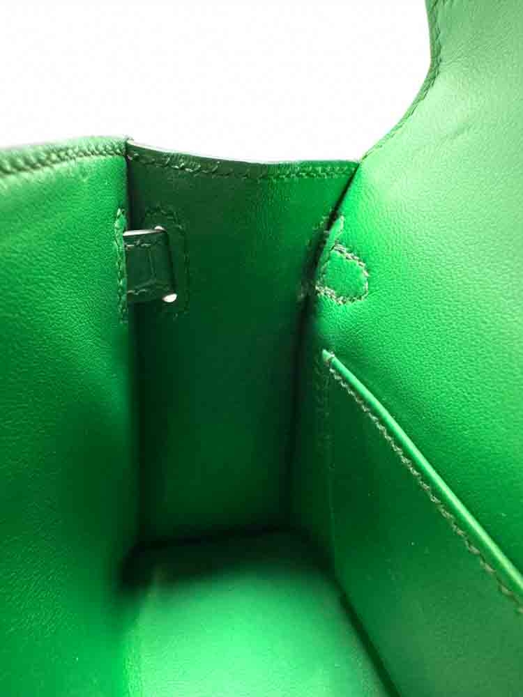 HERMES-MINIKELLY-20-CACTUS-MATTEALLIGATOR-IMG_0905.jpg